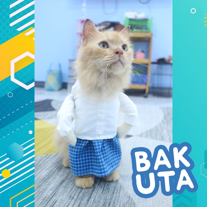 Kostum baju koko sarung kotak-kotak biru + Peci / baju koko kucing lebaran Terbaru size S-XL