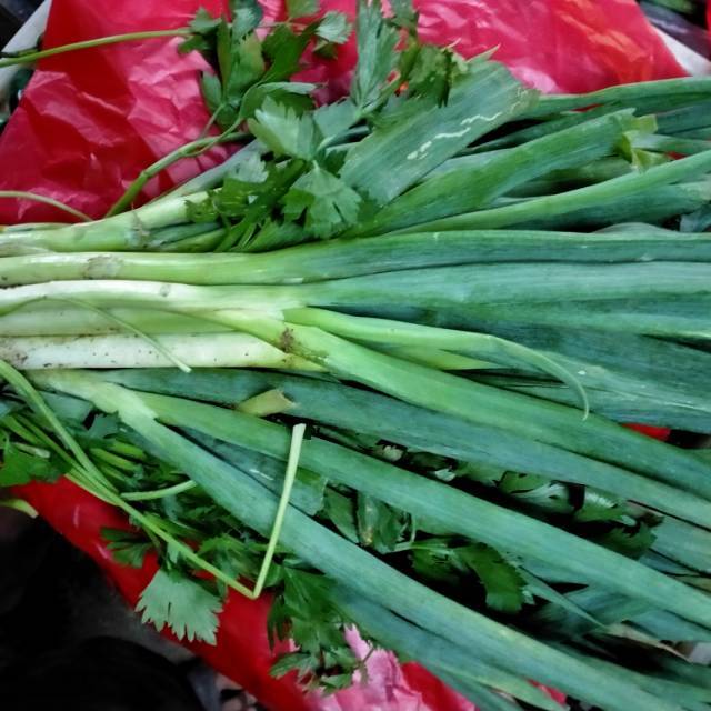

Daun bawang
