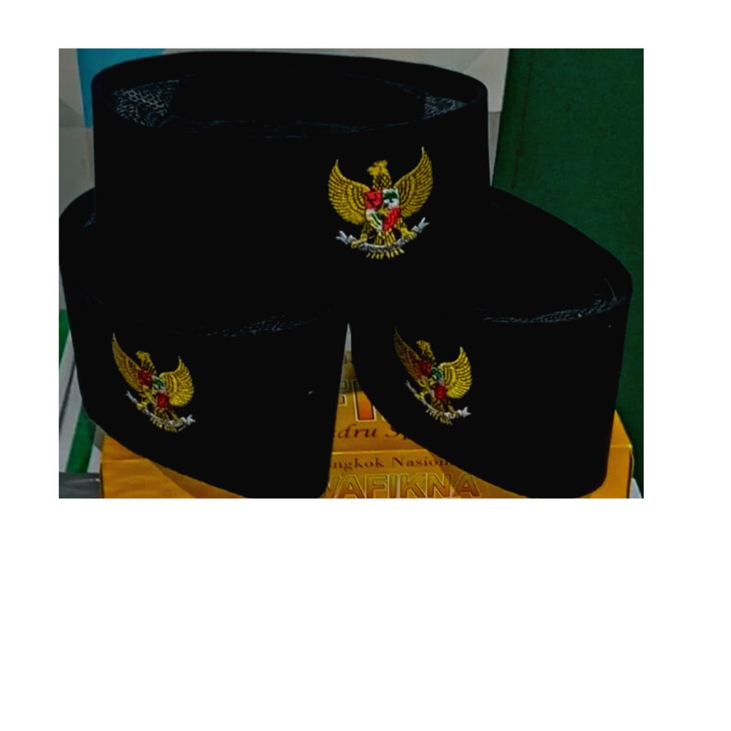 peci garuda AC T10/peci anak/peci nu
