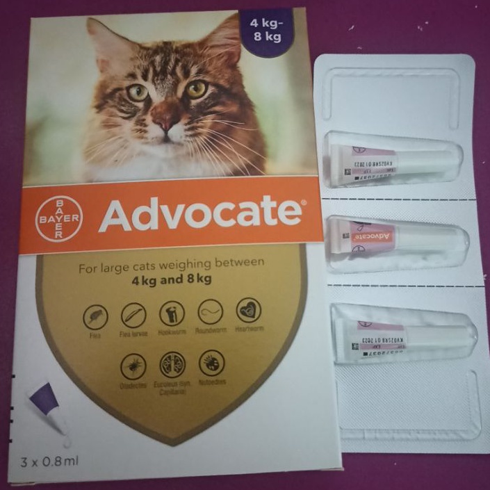 Advocate cat obat tetes kutu kucing adult 4kg-8kg