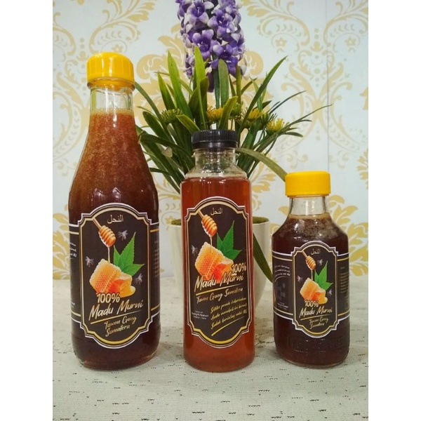 

madu 100% murni lebah hutan