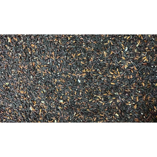 

Beras ketan hitam