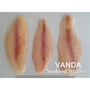 

Ikan Dory Fillet Lokal Grade B