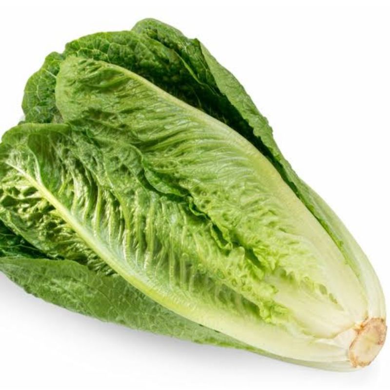 

Romaine Organik 200gr