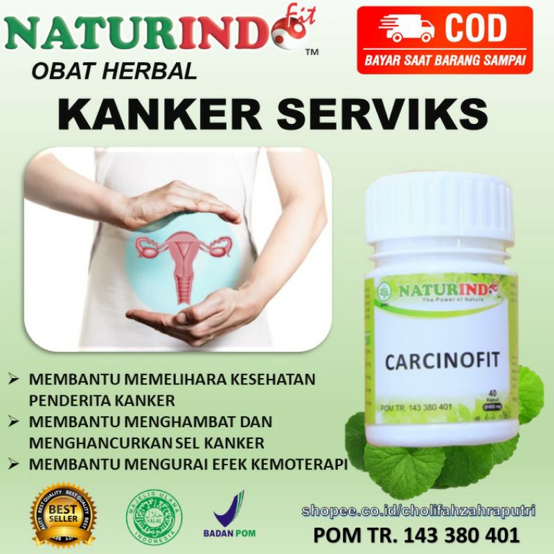 Obat Herbal Kanker Serviks Naturindo Herbal Ampuh CARCINOFIT Herbal Alami Naturindo