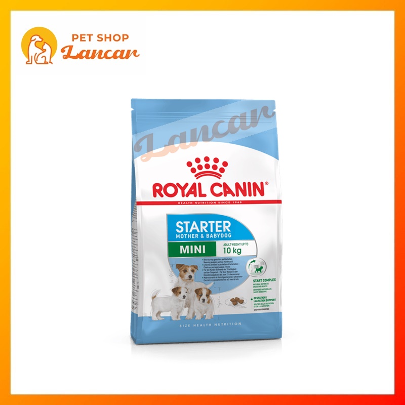 Royal Canin Mini Starter Mother &amp; Baby Dog 1Kg