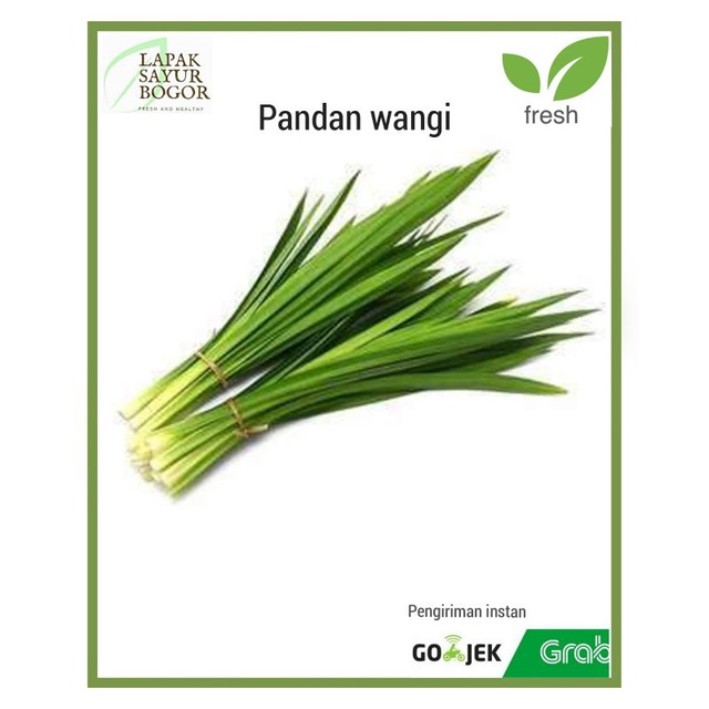 

daun pandan segar 1ikat