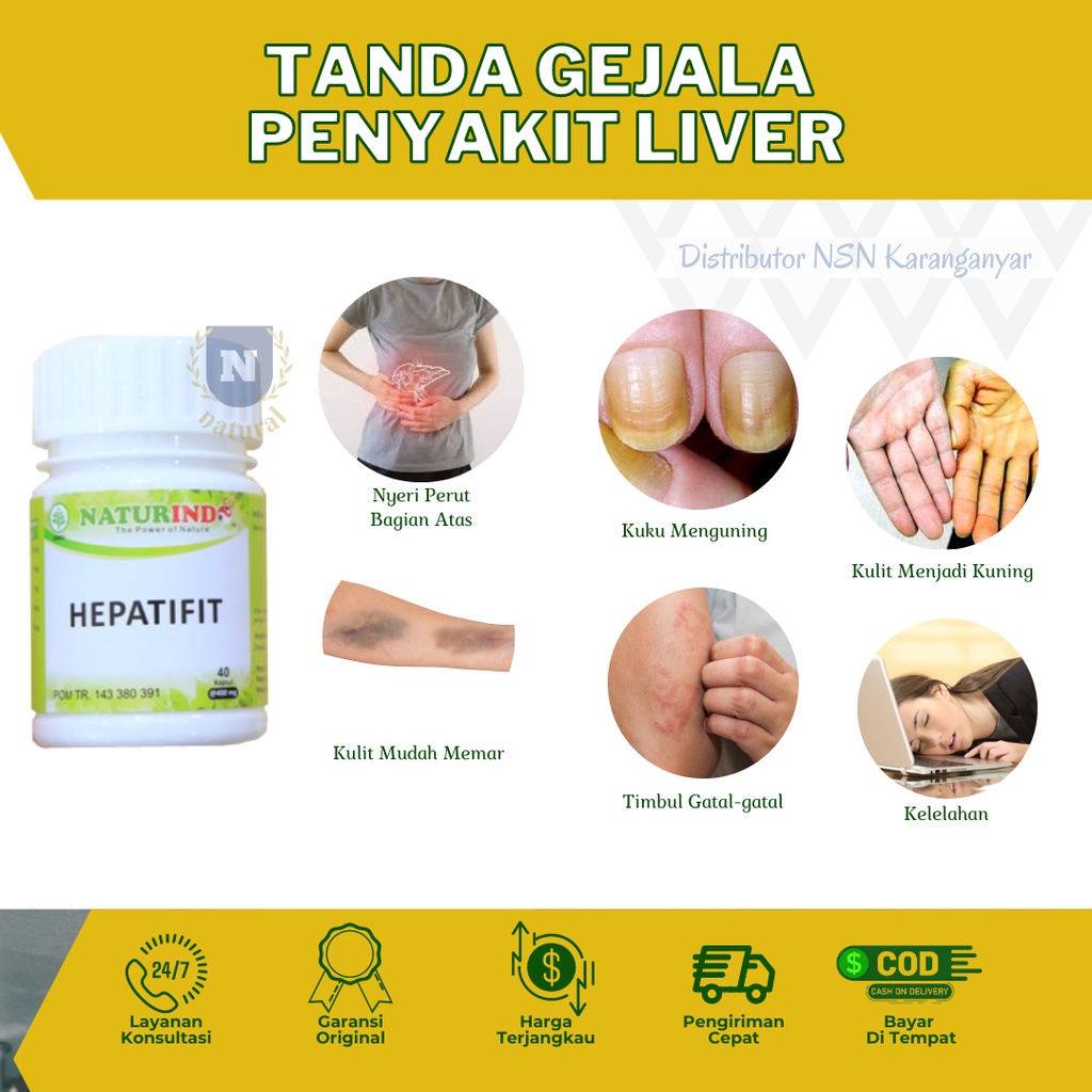 Obat Liver Mata Kuning Kesehatan Organ Hati Hepatitis Obat Hepatitis B Ampuh Hepatifit Obat herbal Liver Bengkak Obat Gatal Biduran Naturindofit-3