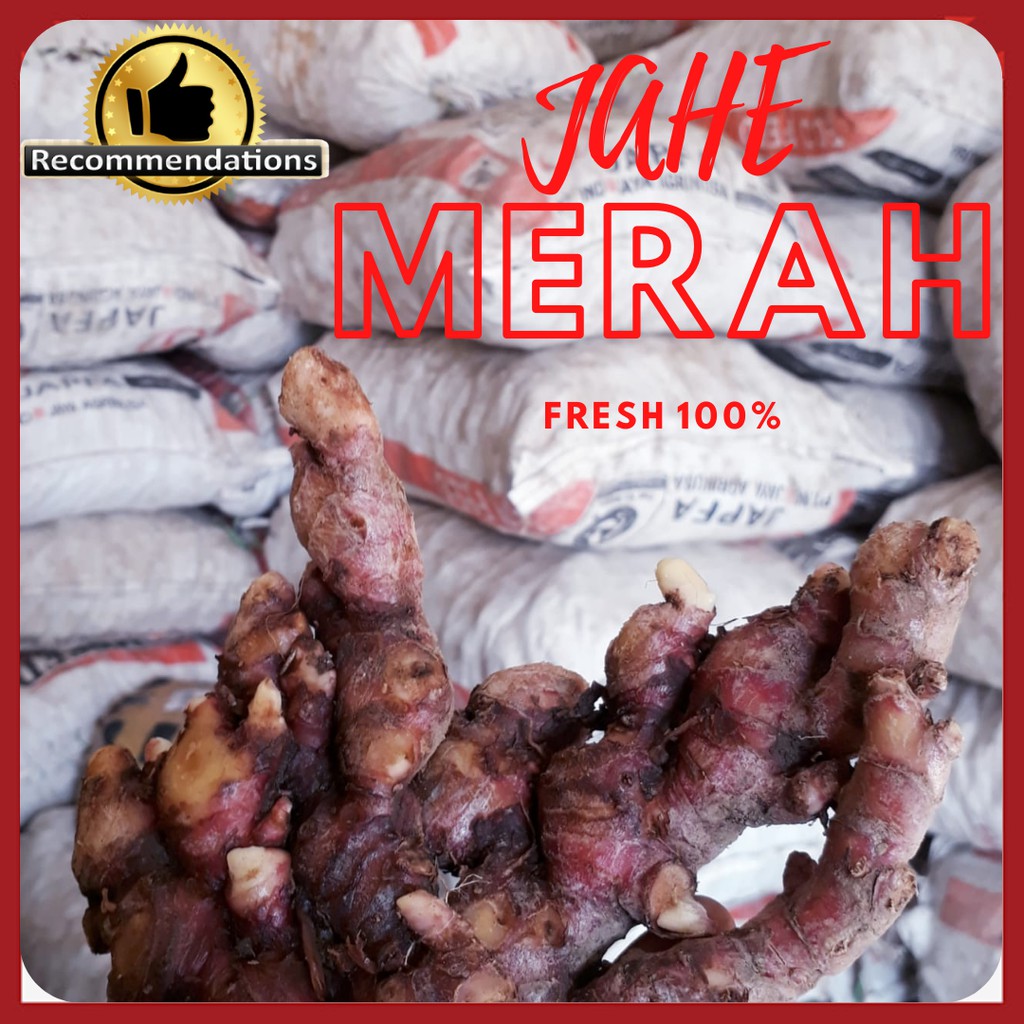 

JAHE MERAH SEGAR & ASLI TUA (1KG UKURAN SEDANG/KECIL)