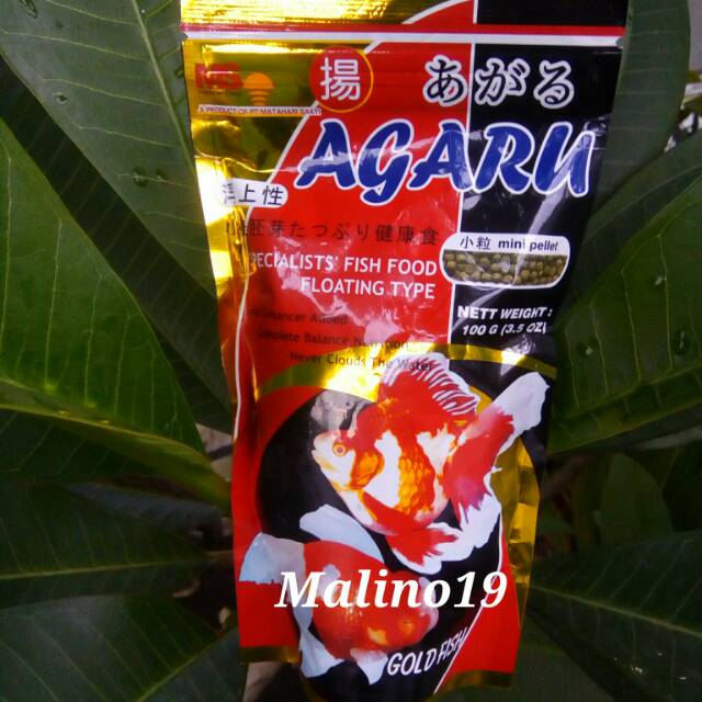 Agaru.Pakan ikan Hias.
