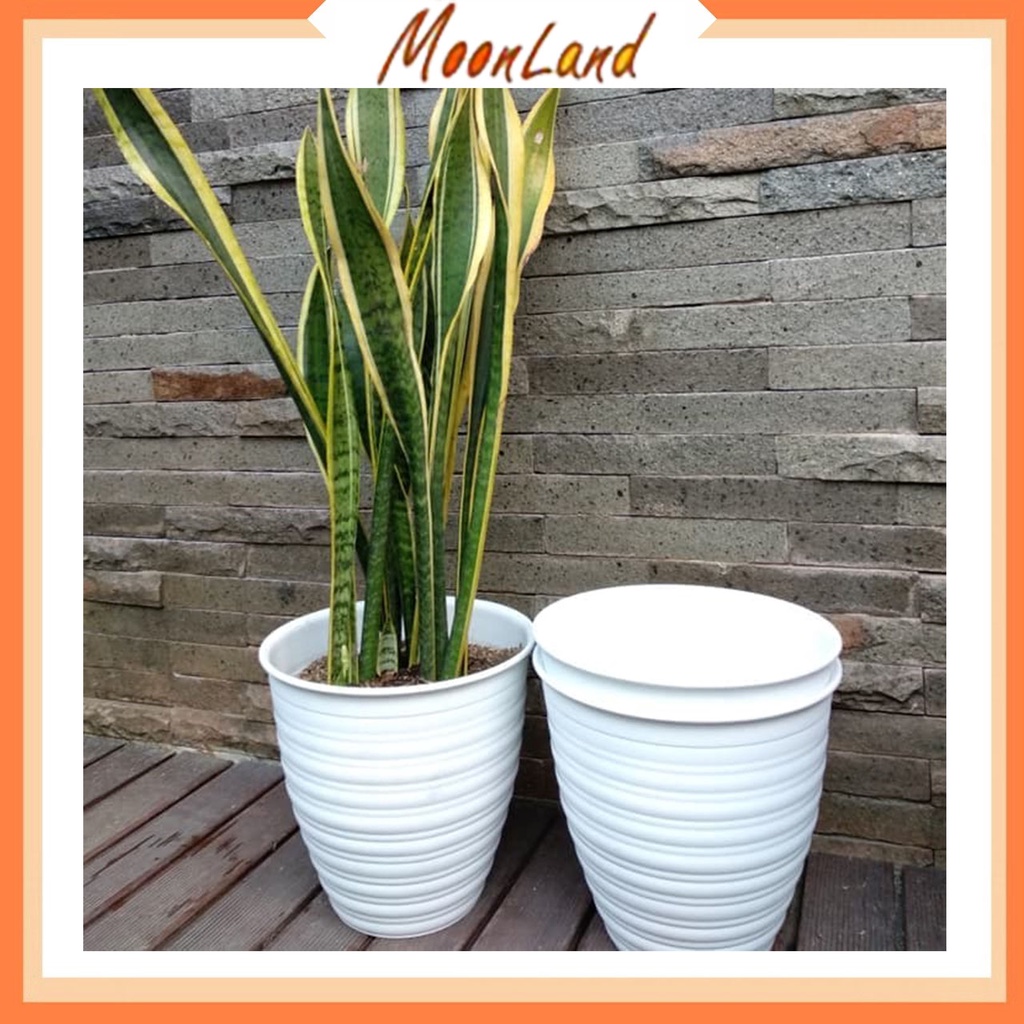 MoonLand pot tawon Pot Tanaman Hias Motif Tawon Putih