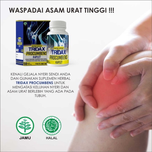 TRIDAX PROCUMBENS Original Obat Herbal Saraf Kejepit Asam Urat Pegal Linu Nyeri Sendi Encok Rematik Ampuh