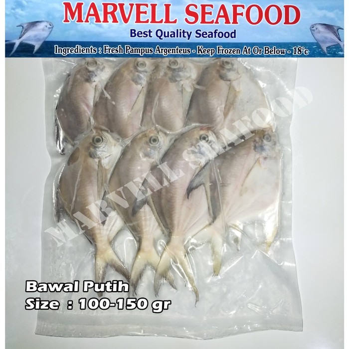 

IKAN BAWAL PUTIH FRESH/FROZEN SIZE 100/150gr 8/9 pcs