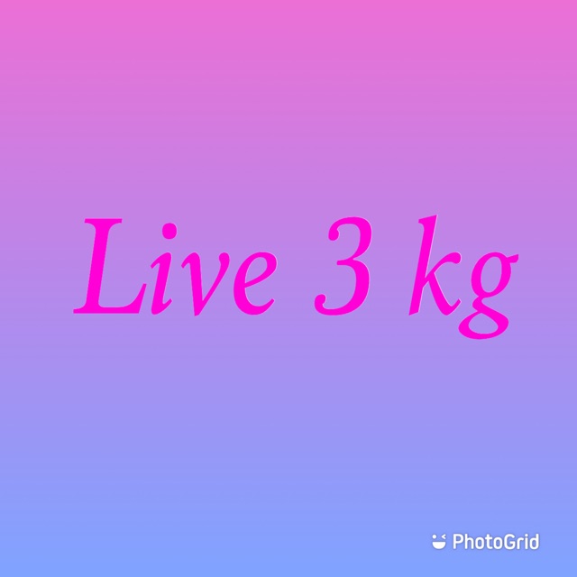 

Nota live 3 kg