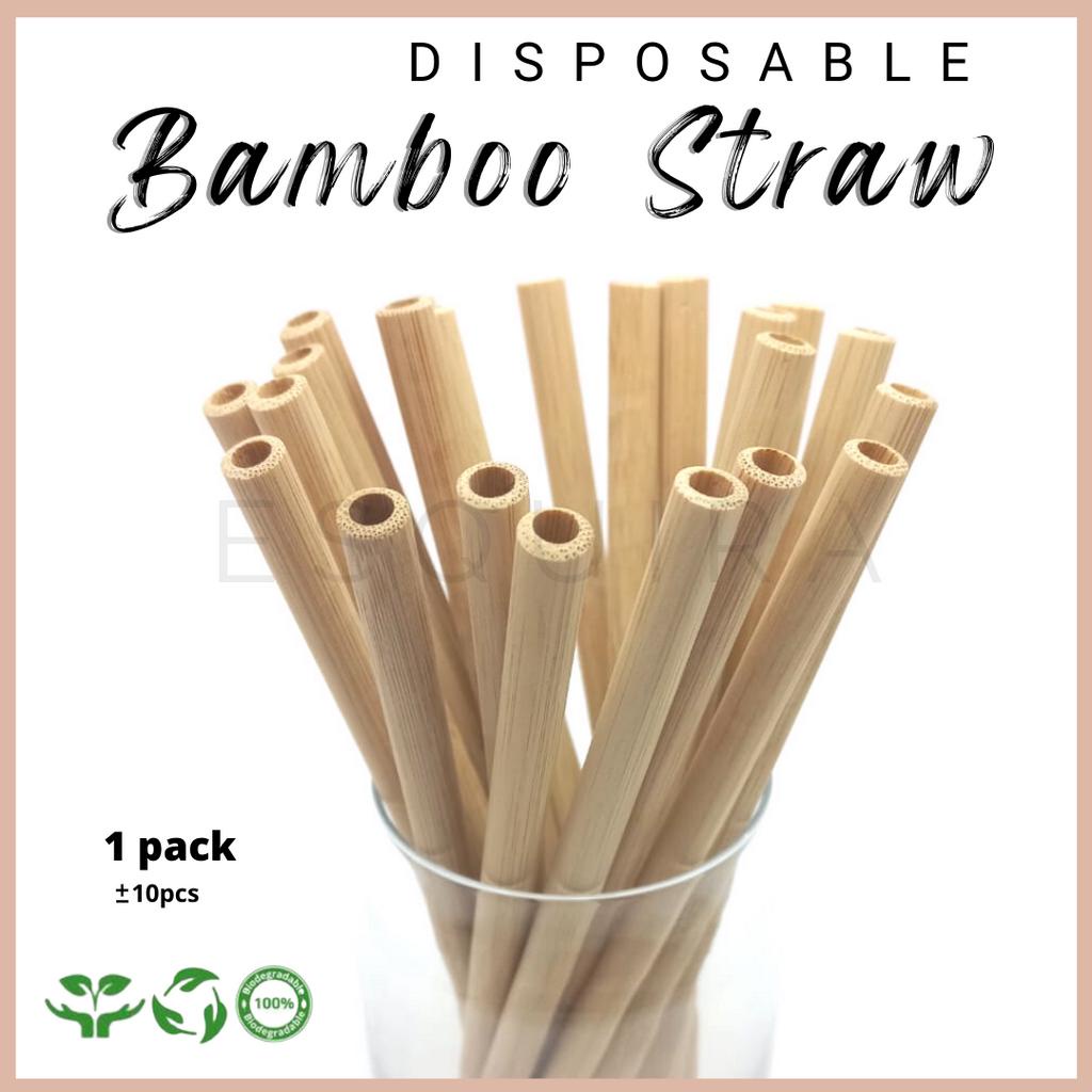 (10pcs) Bamboo Straw / Sedotan Pipet Bambu Reusable BSTRAW