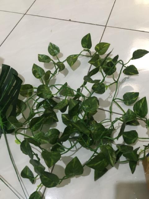 Daun Rambat Sri Gading 2m Dekorasi Home