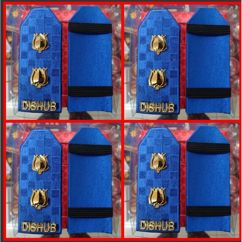 PANGKAT PDU DISHUB GOLONGAN IV A/ PANGKAT PDU DISHUB 4A/EVOLET PDU DISHUB GOLONGAN 4