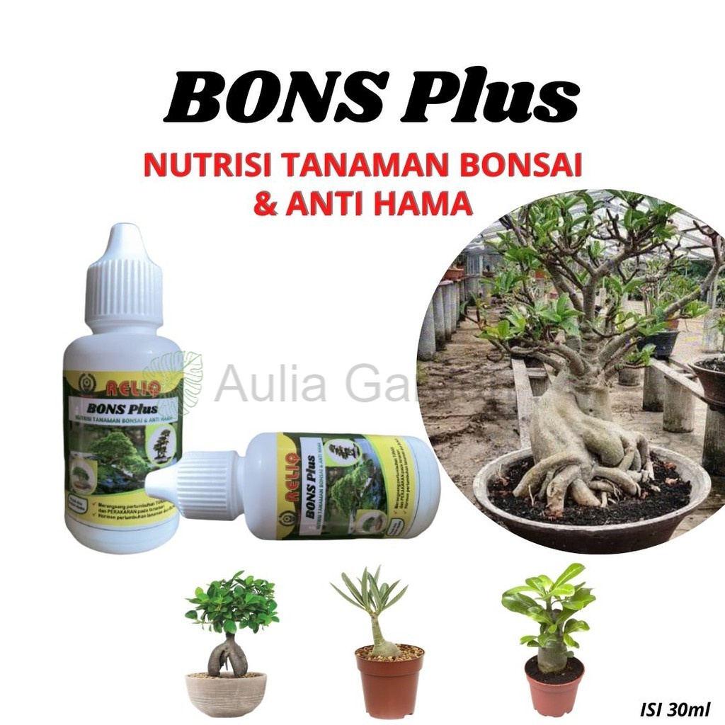 Nutrisi Tanaman Bonsai, Pupuk Hormon Reliq Bons Plus Perangsang Pertumbuhan Tunas Bonsai