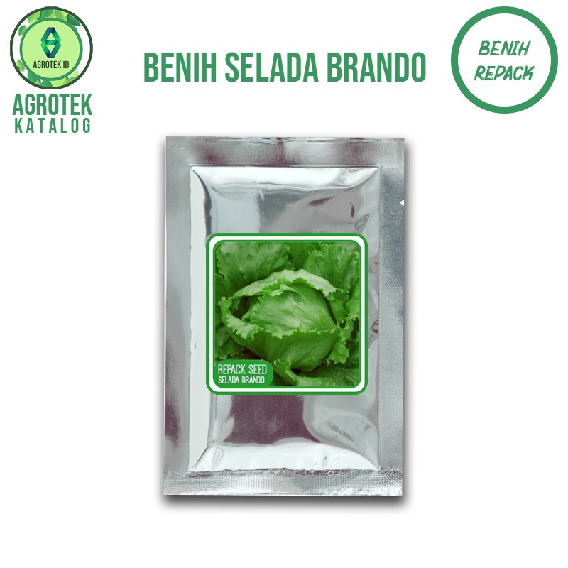 Benih Selada Brando isi 100 biji Repack
