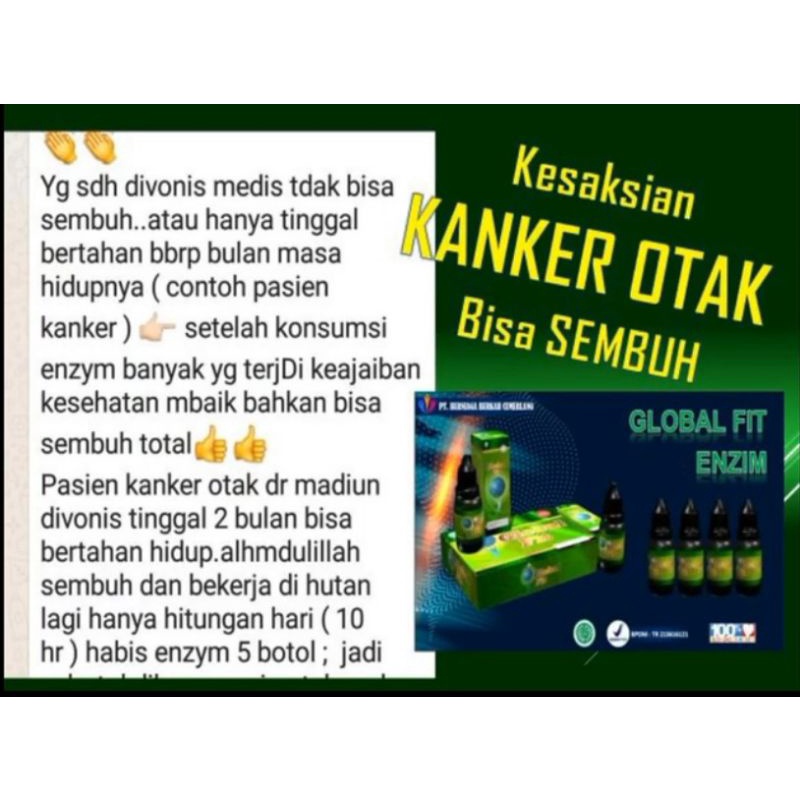 Global Fit Enzim (1box isi 4 botol)