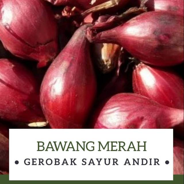 

Bawang Merah /250gr