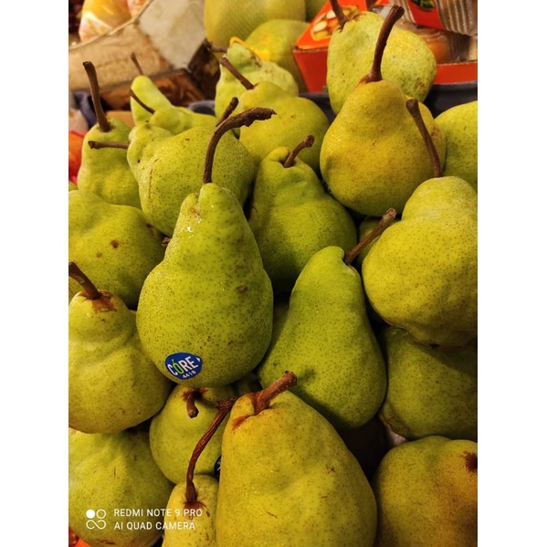 

Pir Hijau / Green Pear / Buah Pir hijau 1kg