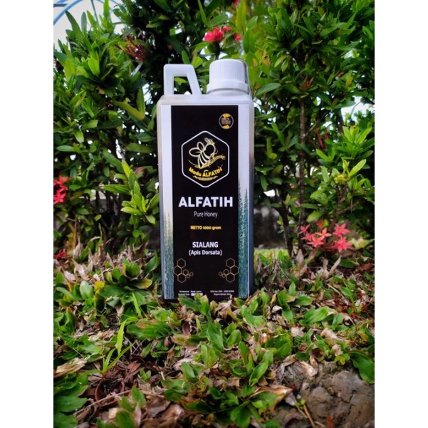 

Madu Hutan Sialang by ALFATIH