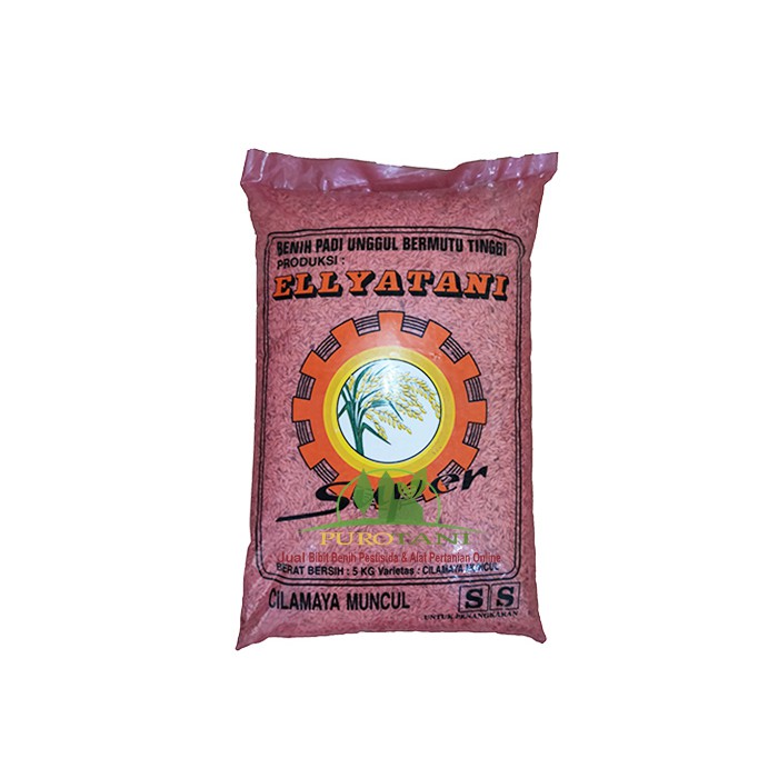 Benih Padi Cilamaya Muncul SS Ellyatani