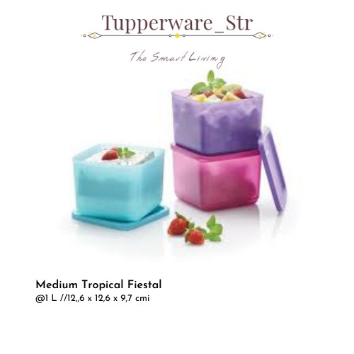 Tupperware/Medium Tropical Fiesta/Tempat penyimpanan makanan/toples Tupperware/Toples set/Toples