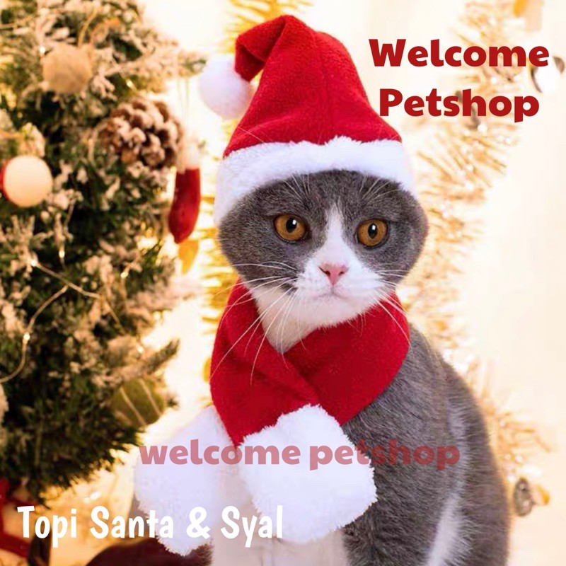 Jual Topi Santa dan Syal untuk Kucing dan Anjing / Baju Natal Kucing