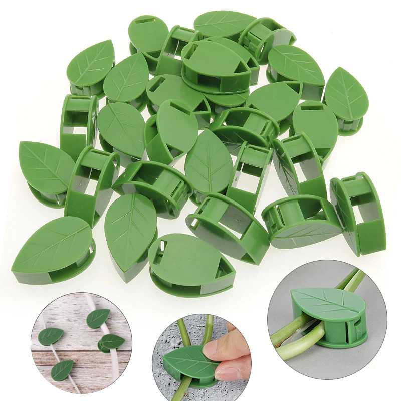 ZITONG Klip Batang Tanaman Invisible Plan Vine Fixture 50 PCS