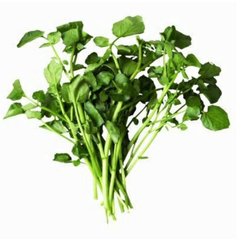 

Sayur Sayuran Selada Air / Sayur Mayur Selada Air Semarang