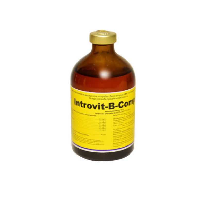 INTROVIT-B-COMPLEX