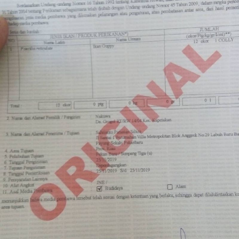 surat karantina ikan resmi