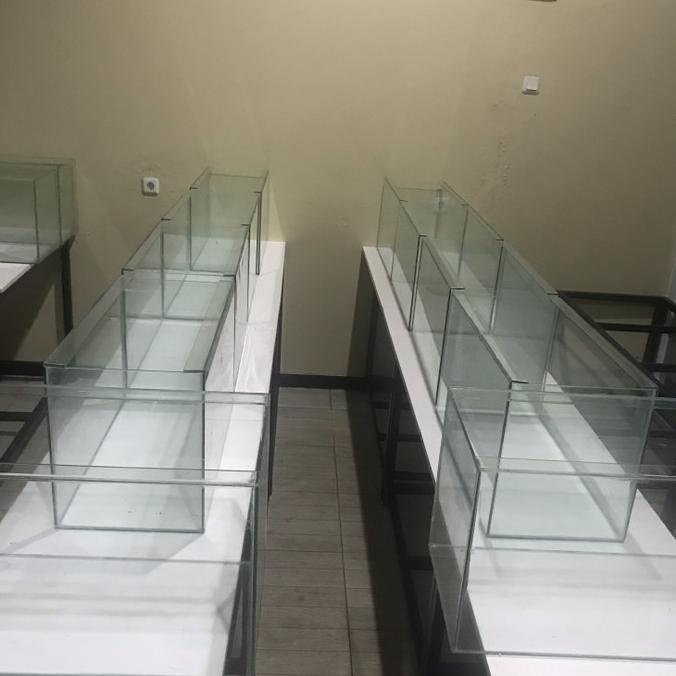 aquarium 60x30x35