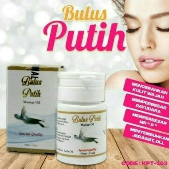 Minyak Bulus Putih Bpom Original Massage Oil 15ml Shopee Indonesia