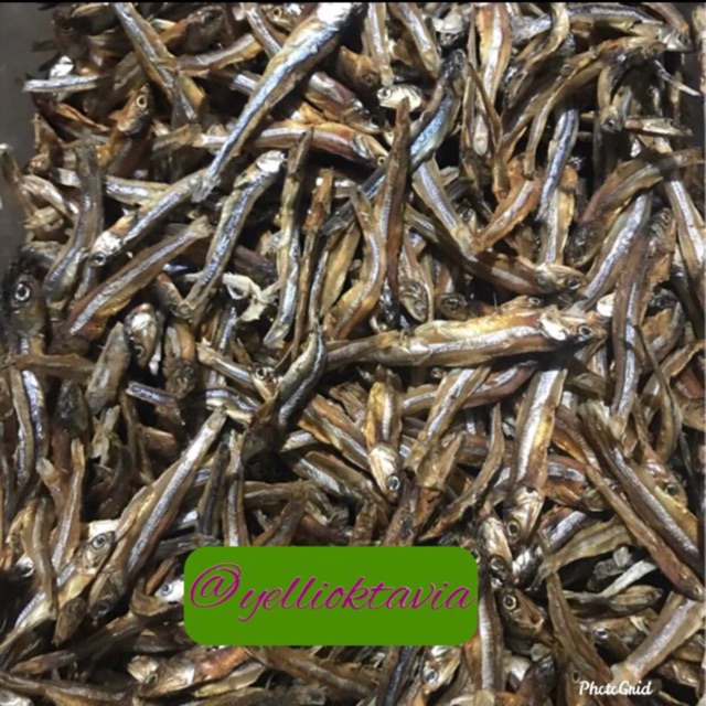 

Ikan bada Balang