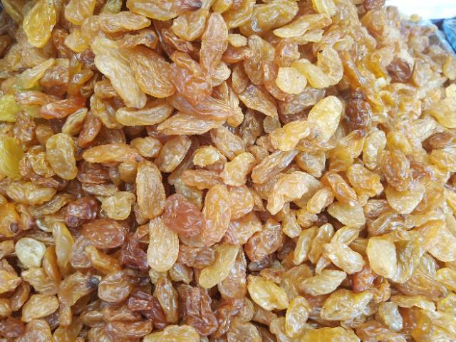 Kismis arab golden raisin semi jumbo 1kg