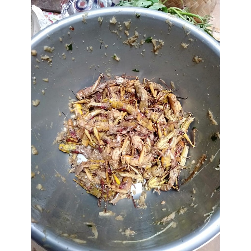 

WALANG GORENG Rasa Varian isi banyak (MANTAB JIWAH)