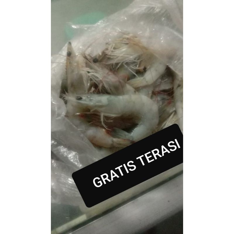 

Udang panami 250gram Asli Cirebon