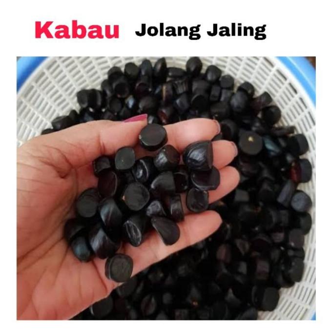 

TERLARIS 1kg KABAU / jolang jaling / mirip jengkol/ pete