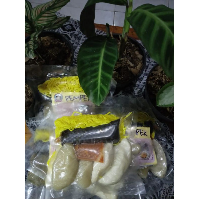 

Pempek Kapsel Sedang