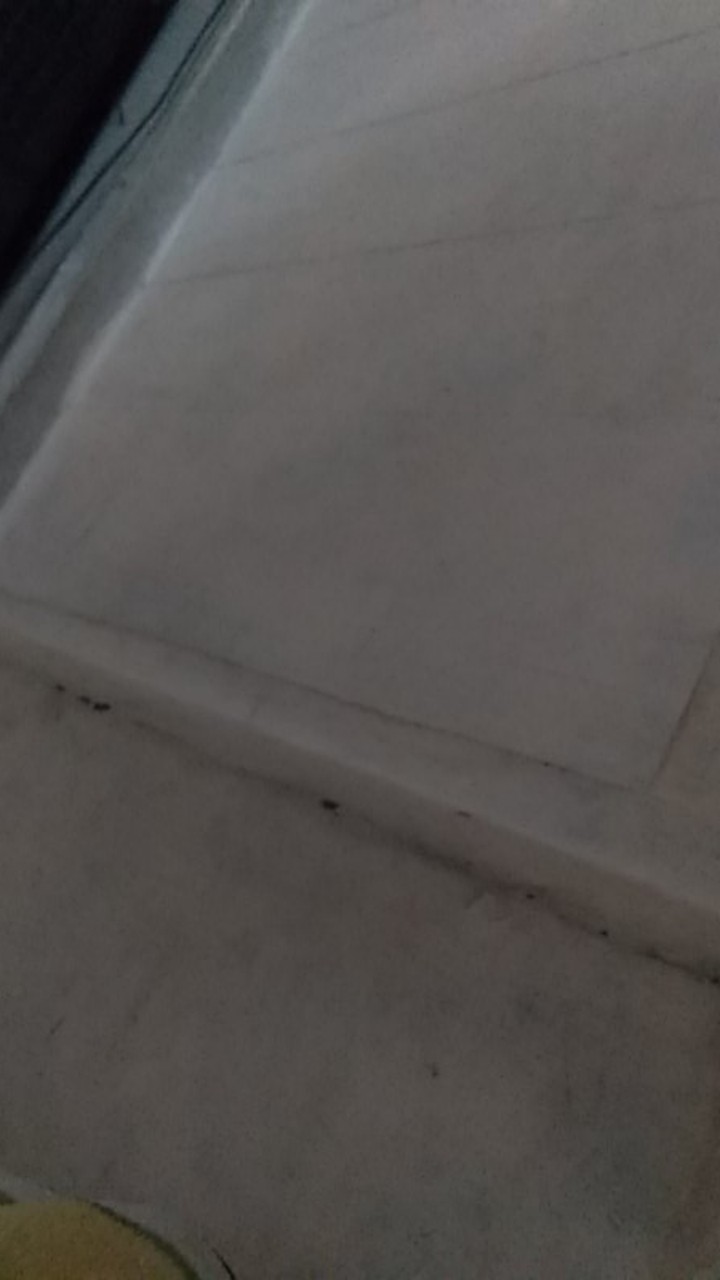 Cetakan Kue Kembang Goyang Bentuk Kupu-kupu