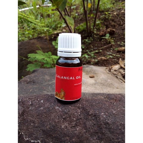 

10 ml sampel - minyak lengkuas / laos dapur - galangal oil (Alpinia galangal)
