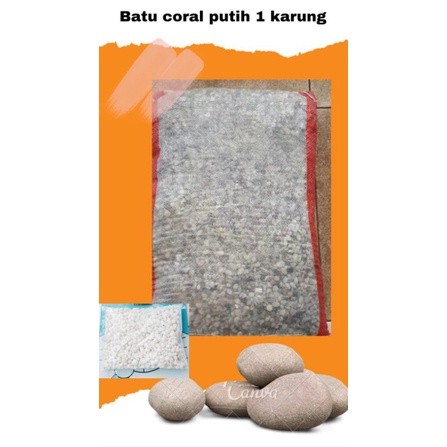 1 karung coral -/+12 kg putih kecil | Batu coral | Coral putih | koral putih