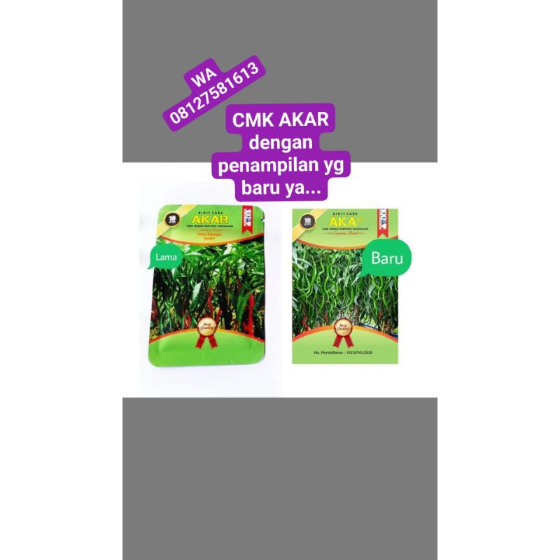 Benih CMK AKAR bibit unggul Sumatera Barat