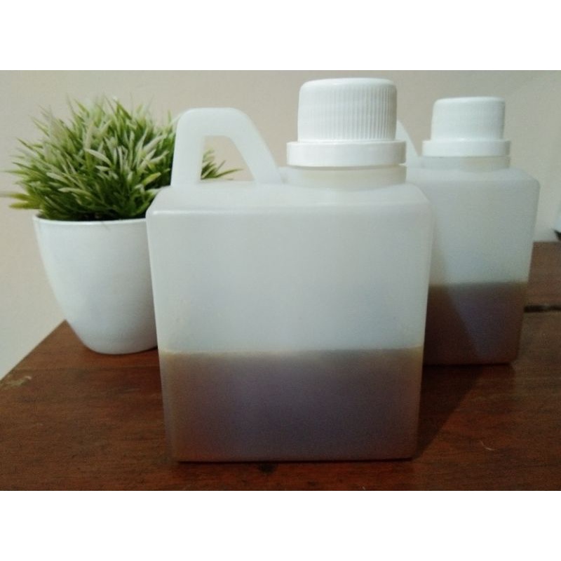 

madu hutan pahit asli banggai kepulauan 350 gram