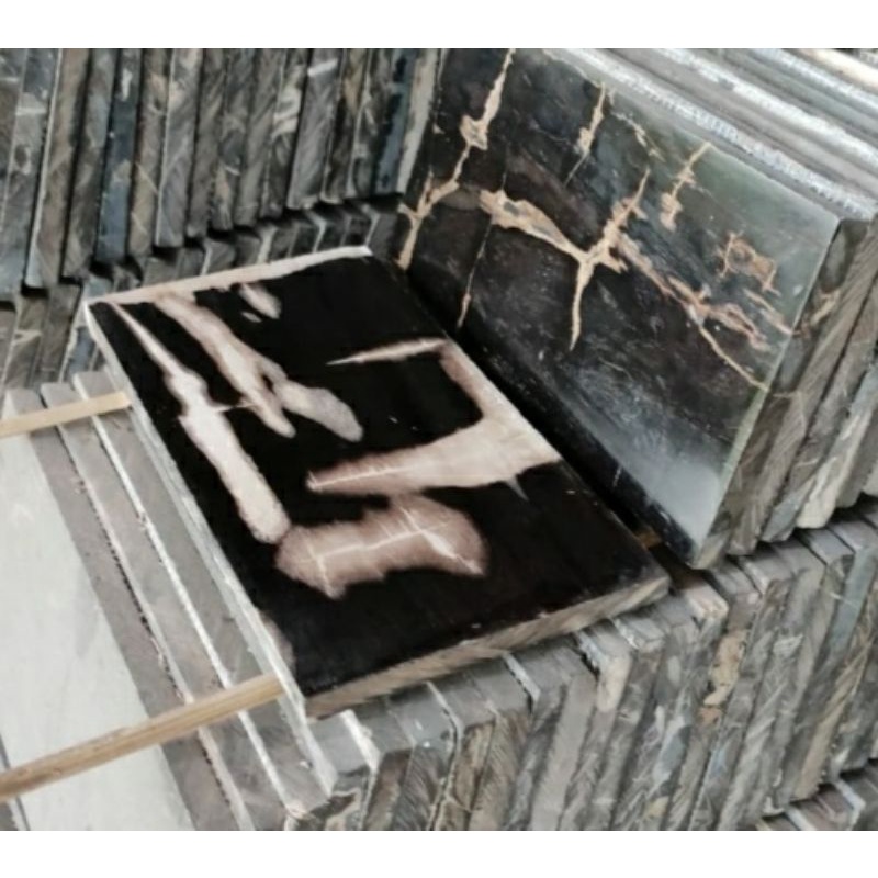 Lembaran Batu Fosil Kayu Purba