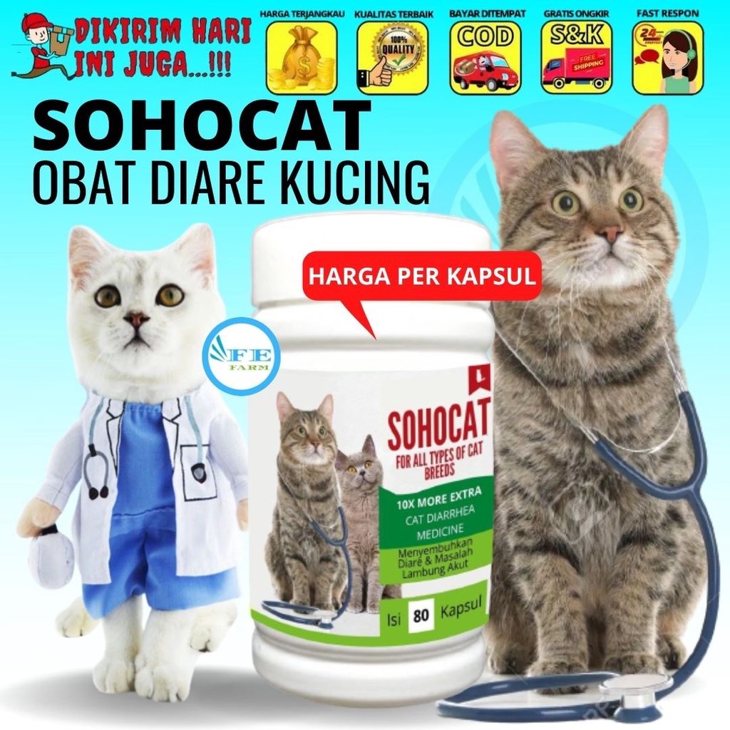 Obat Mencret Kucing / Obat Diare Kucing Mengatasi Diare FEFARM