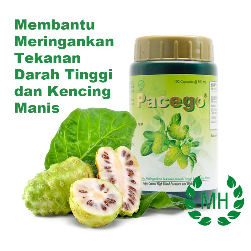 PACEGO 100 KAPSUL - Original Borobudur Herbal - Untuk daya tahan tubuh dan darah tinggi